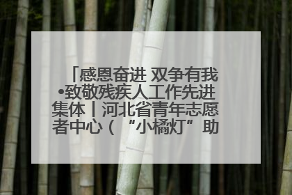 感恩奋进 双争有我•致敬残疾人工作先进集体丨河北省青年志愿者中心（“小橘灯”助残接力计划实施团队）：用温暖陪伴，守护特殊孩子成长
